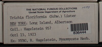 Image Associated With the Occurence